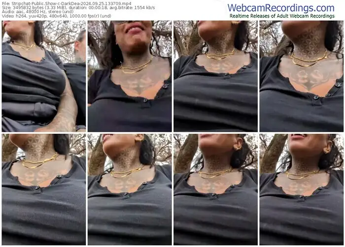 2024/09/25/stripchat-darkdea-13-37-09