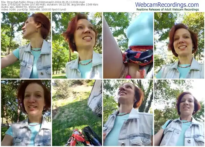 2024/09/25/stripchat-exhibitionsplit-11-20-09