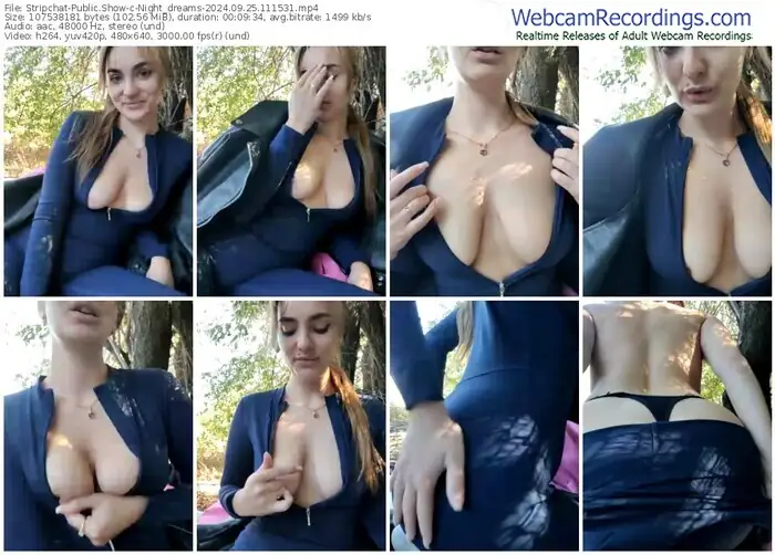 2024/09/25/stripchat-night_dreams-11-15-31