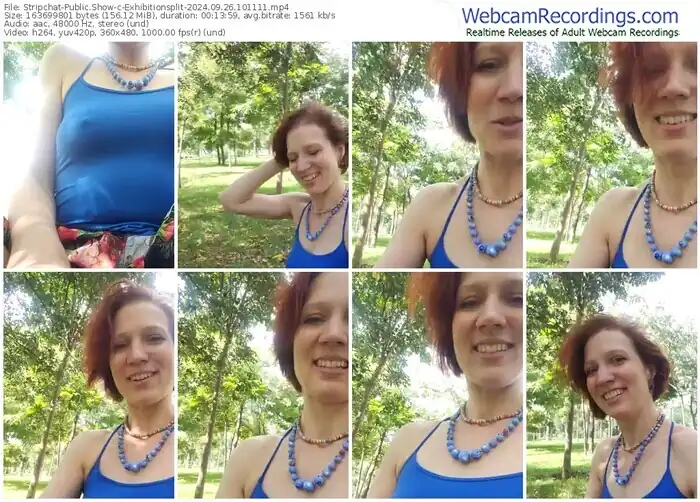 2024/09/26/stripchat-exhibitionsplit-10-11-11