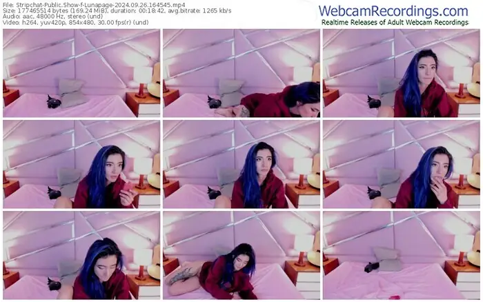 2024/09/26/stripchat-lunapage-16-45-45