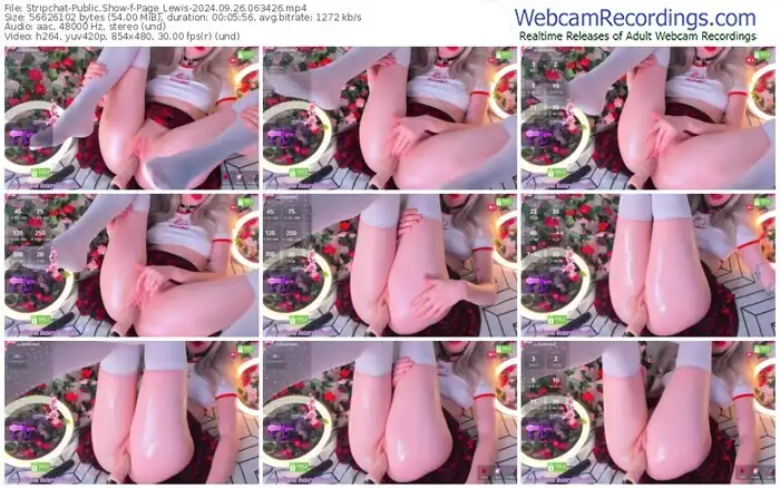 2024/09/26/stripchat-page_lewis-06-34-26