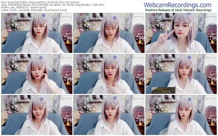 2024/09/26/stripchat-a0513-17-41-12