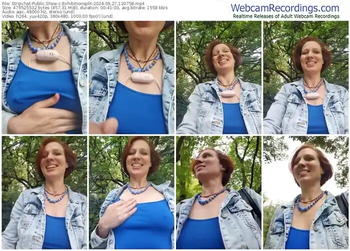 2024/09/27/stripchat-exhibitionsplit-12-07-58