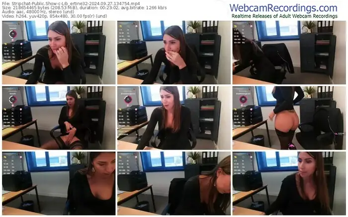 2024/09/27/stripchat-lib_ertine32-13-47-54