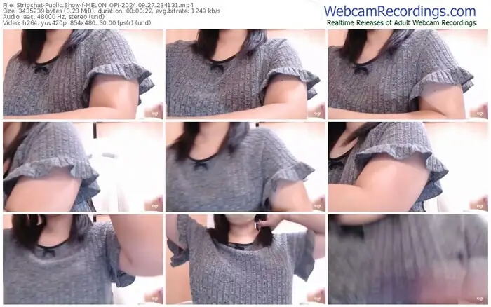 2024/09/27/stripchat-melon_opi-23-41-31