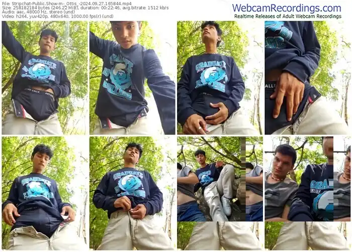 2024/09/27/stripchat-_ottis_-16-58-44