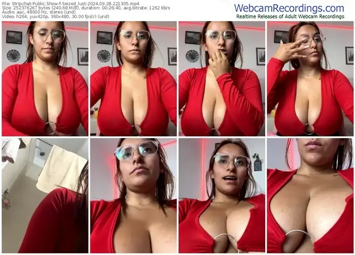 2024/09/28/stripchat-seized_lust-22-13-05