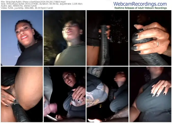 2024/09/29/stripchat-darkdea-17-08-03