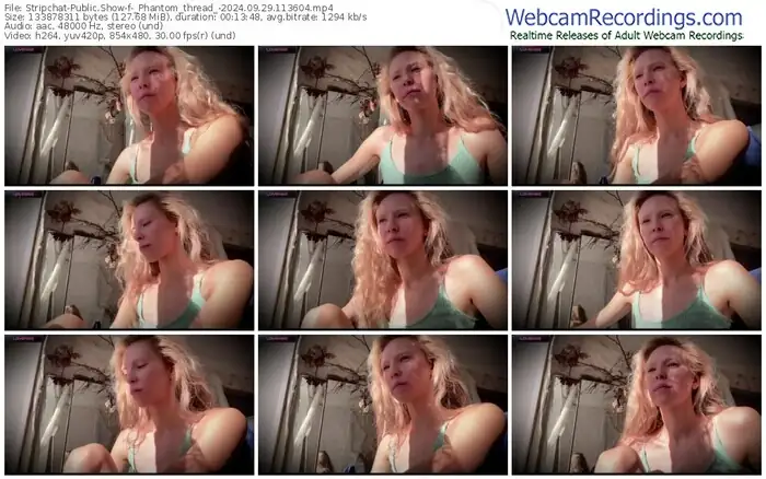 2024/09/29/stripchat-_phantom_thread_-11-36-04