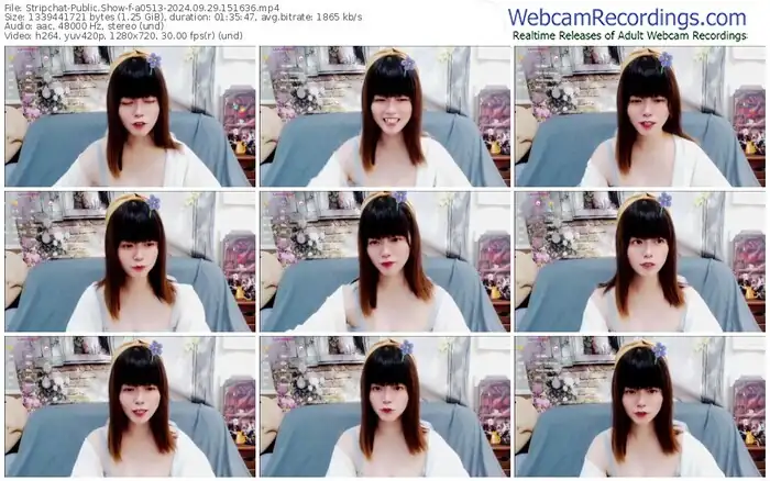 2024/09/29/stripchat-a0513-15-16-36