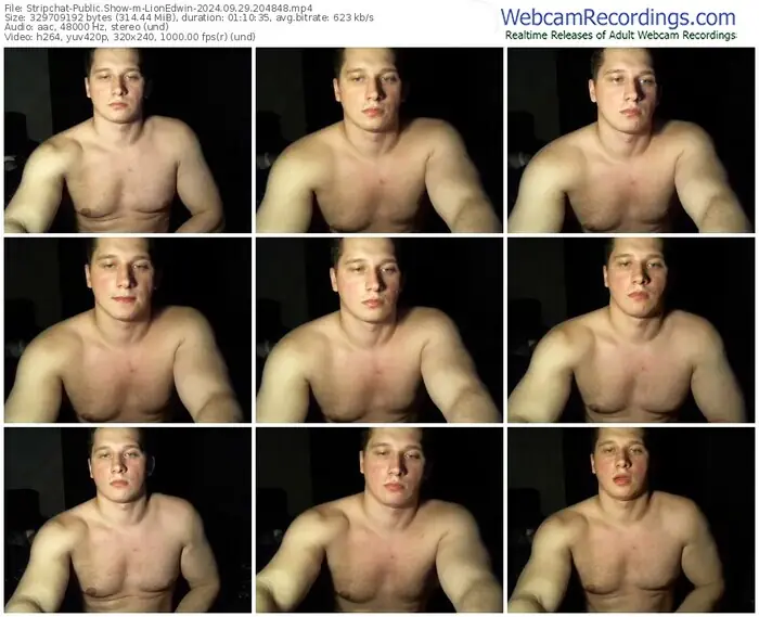 2024/09/29/stripchat-lionedwin-20-48-48