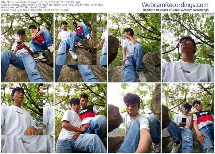 2024/09/29/stripchat-_ottis_-17-31-29