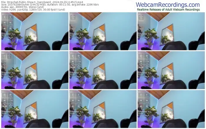 2024/09/29/stripchat-_hairybeard_-11-45-15