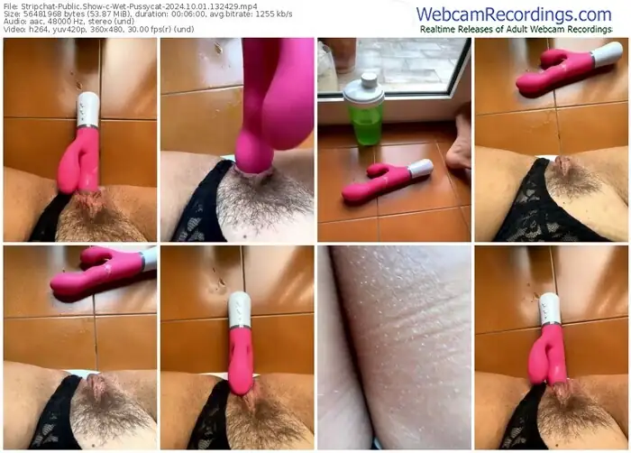 2024/10/01/stripchat-wet-pussycat-13-24-29