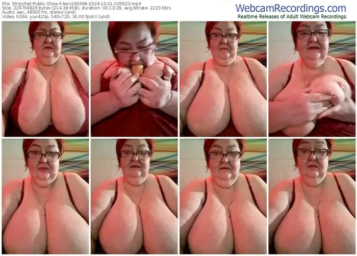 2024/10/01/stripchat-awn290668-03-59-23