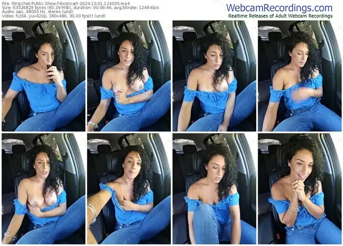 2024/10/01/stripchat-exoticart-12-40-35