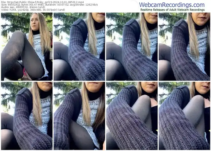 2024/10/01/stripchat-risky_girl23-08-53-12