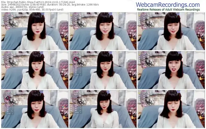 2024/10/01/stripchat-a0513-17-16-41