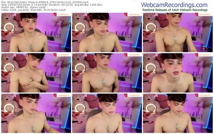 2024/10/01/stripchat-prince_stev-23-50-06