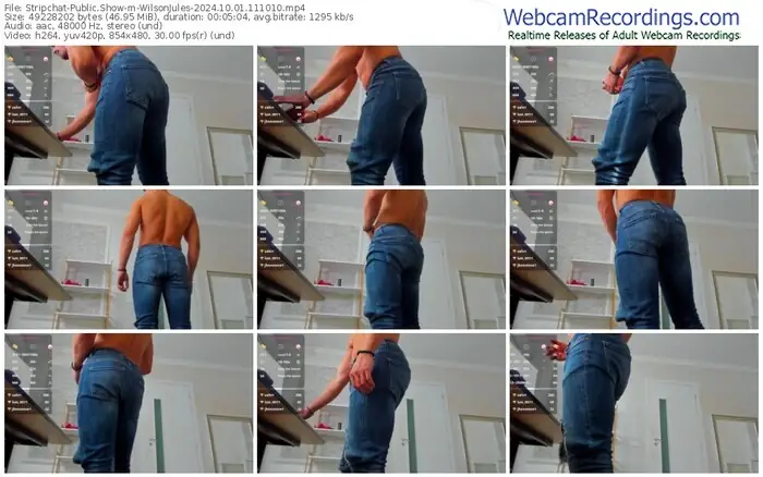 2024/10/01/stripchat-wilsonjules-11-10-10