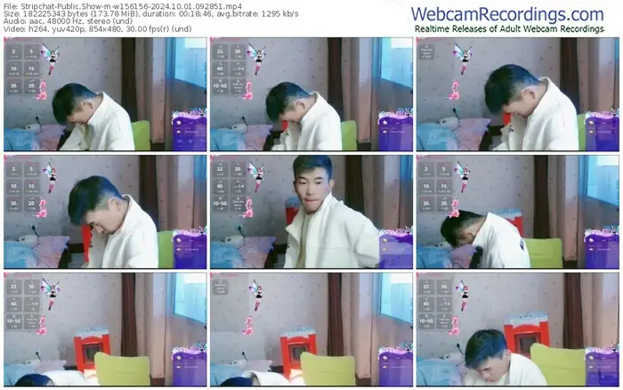 2024/10/01/stripchat-w156156-09-28-51