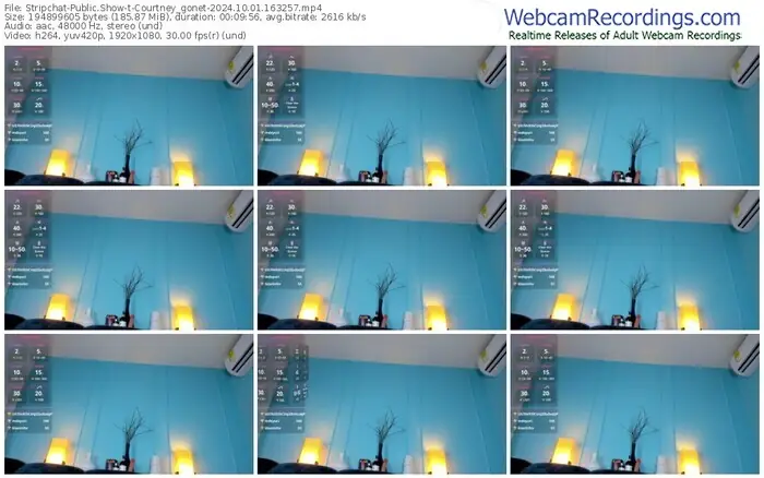 2024/10/01/stripchat-courtney_gonet-16-32-57