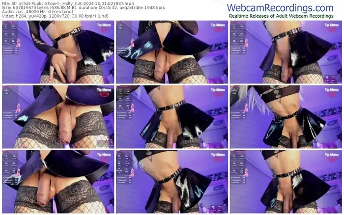 2024/10/01/stripchat-_holly_cat-02-18-37