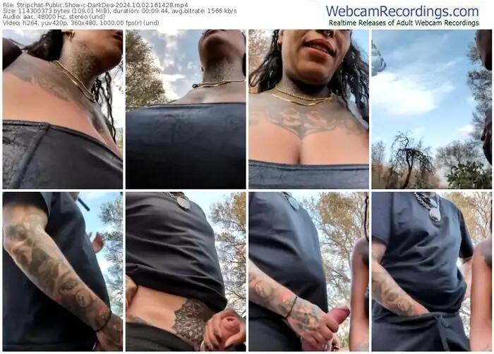 2024/10/02/stripchat-darkdea-16-14-28