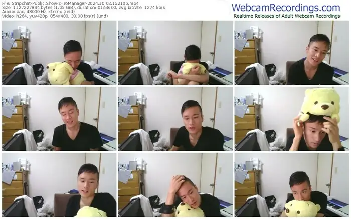 2024/10/02/stripchat-iromanager-15-21-06