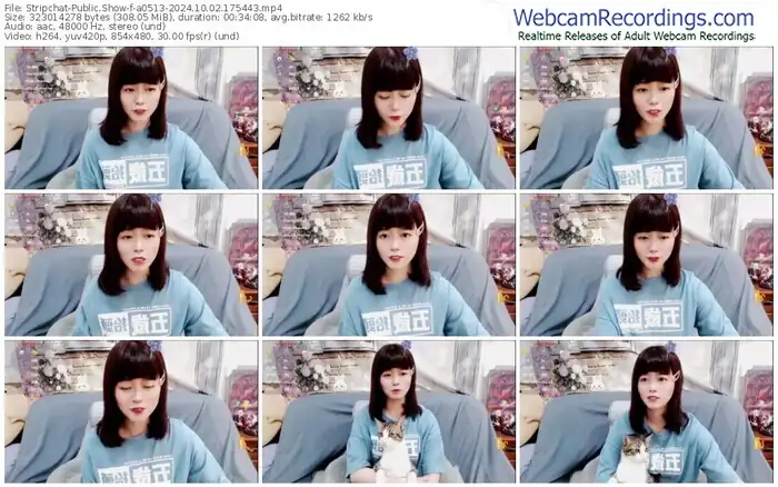 2024/10/02/stripchat-a0513-17-54-43