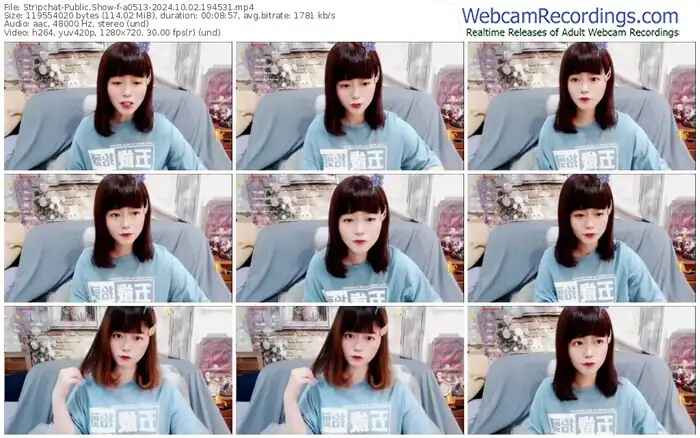 2024/10/02/stripchat-a0513-19-45-31