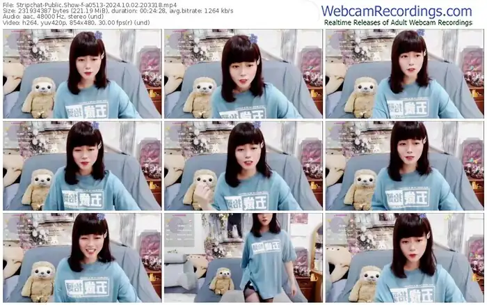 2024/10/02/stripchat-a0513-20-33-18