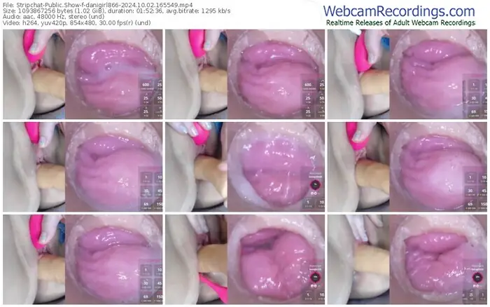 2024/10/02/stripchat-danigirl866-16-55-49