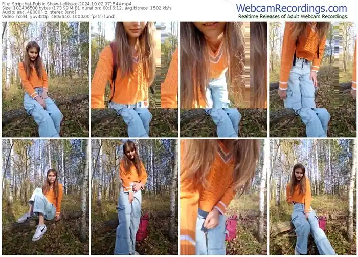 2024/10/02/stripchat-elikako-07-15-44