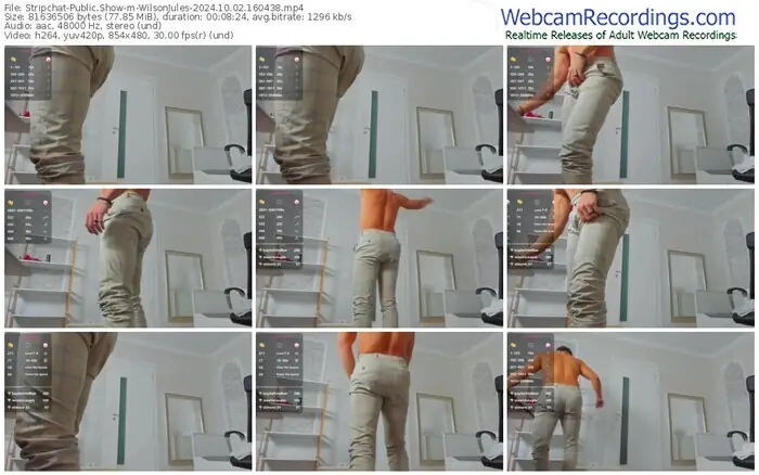 2024/10/02/stripchat-wilsonjules-16-04-38