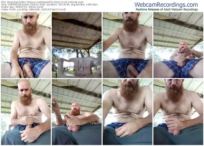 2024/10/02/stripchat-redxbeard32-16-41-46
