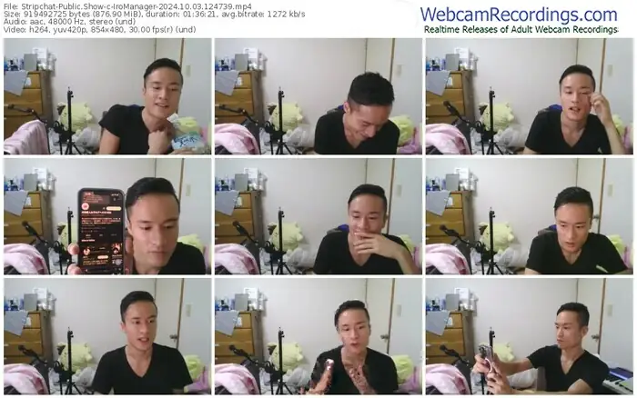 2024/10/03/stripchat-iromanager-12-47-39