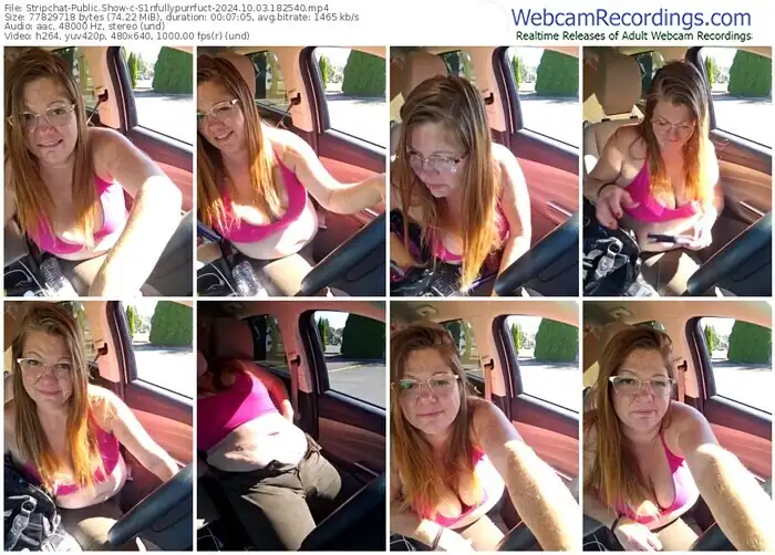 2024/10/03/stripchat-s1nfullypurrfuct-18-25-40