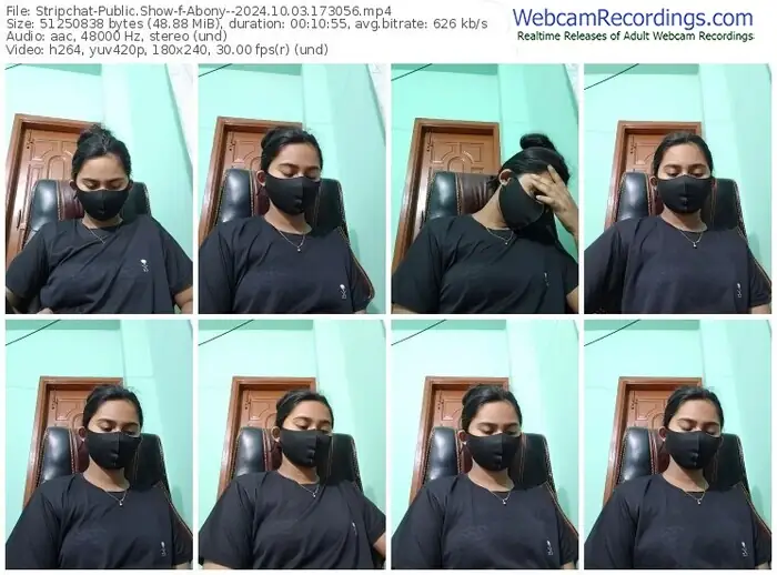 2024/10/03/stripchat-abony--17-30-56