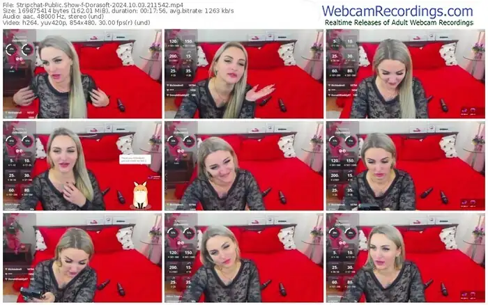 2024/10/03/stripchat-dorasoft-21-15-42