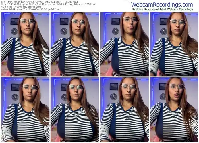 2024/10/03/stripchat-seized_lust-19-07-39