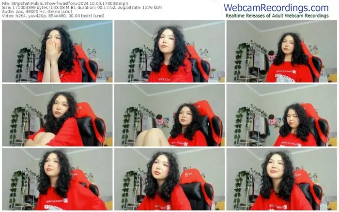 2024/10/03/stripchat-wastforu-17-00-38