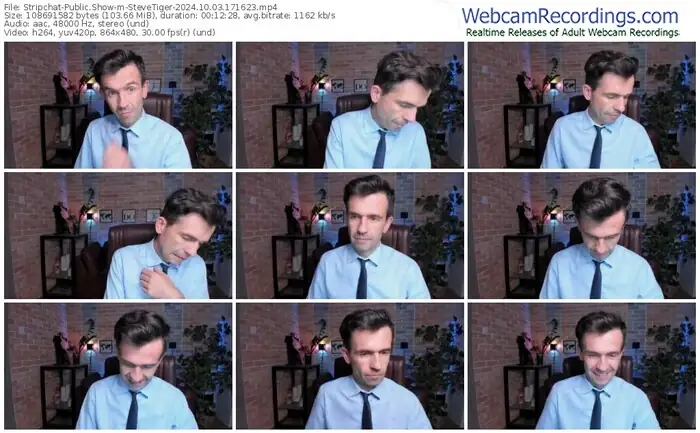 2024/10/03/stripchat-stevetiger-17-16-23
