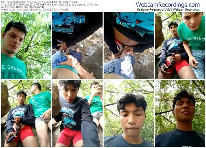 2024/10/03/stripchat-_ottis_-16-08-57