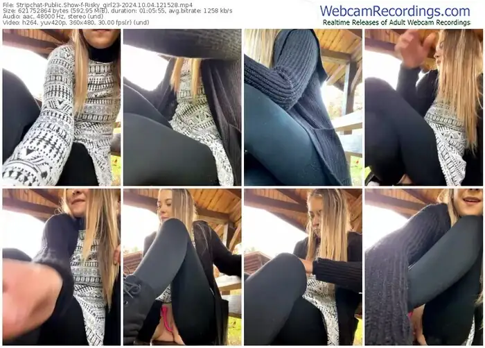 2024/10/04/stripchat-risky_girl23-12-15-28