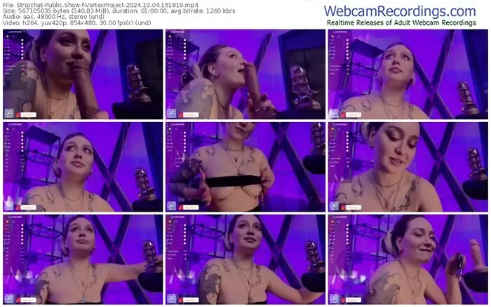 2024/10/04/stripchat-vortexproject-16-18-19