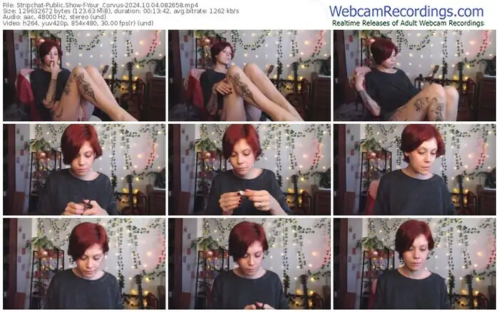 2024/10/04/stripchat-your_corvus-08-26-58