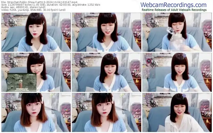 2024/10/04/stripchat-a0513-16-31-47