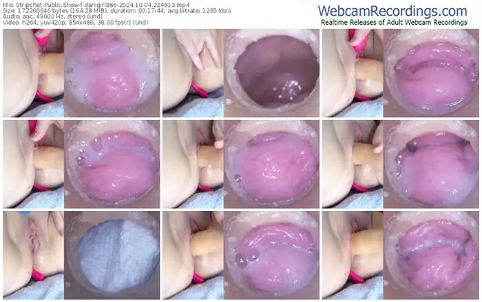 2024/10/04/stripchat-danigirl866-22-46-13